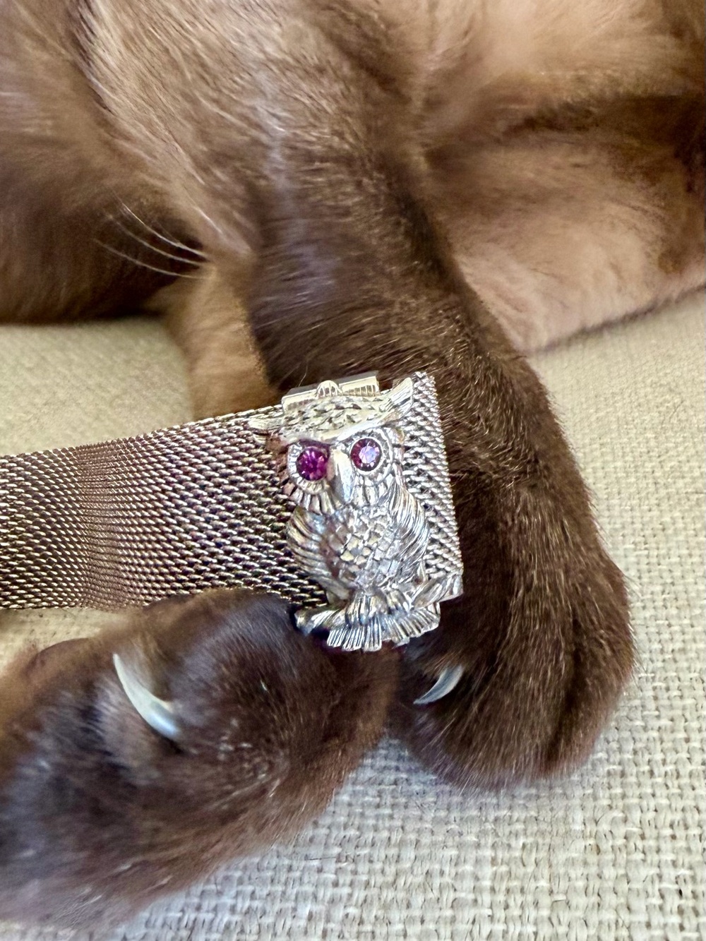Sarah Coventry Silver Owl Charm Mesh Bracelet - Purple Eyes